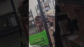 Hide and seek with Nala cat in coffee factory 