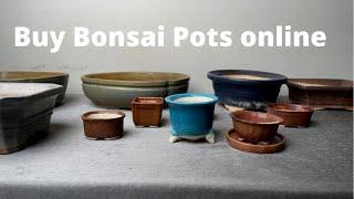 You Can Buy Bonsai Pots Online in India