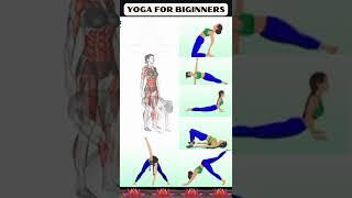 YOGA FOR BIGINNERS  #shorts  #youtubeshorts  #shortvideo  #youtubeviralshorts