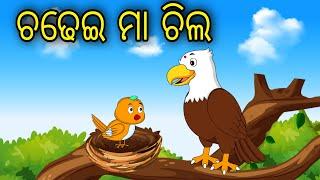 Chadhei Maa Chila Odia Cartoon Odia Bird Stories Odia Chadhei Gapa Odia Moral Story