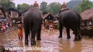 Kannur Akkare Kottiyoor Temple Lord Shiva Kerala India