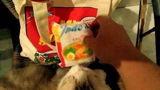 Unboxing Indomie Vintage package Jadul Feat. My Cat