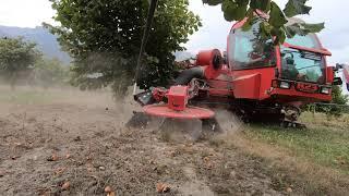 Hazelnut harvester R23 AMB Rousset