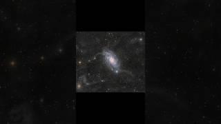 NGC 2403 An Extended Neutral Hydrogen Filamentary Network #shorts