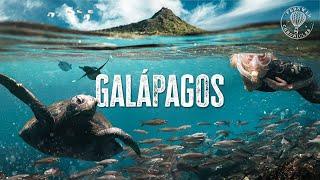 Galapagos Islands - How is this Real Life?