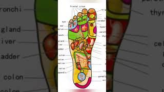 50 + Reasons to Massage Your feet everyday before sleeping in night  Foot Acupressure Points