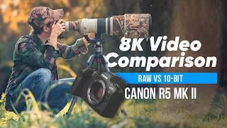 Canon R5 MK ii  8K RAW vs Clog2  Sample Footage