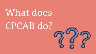 What does CPCAB do?