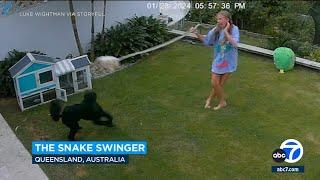 Wild video Girl 12 swings snake in frantic effort to save guinea pig