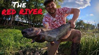 The Red River Catfish Experience  Best In The World