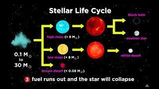 The Life and Death of Stars White Dwarfs Supernovae Neutron Stars and Black Holes