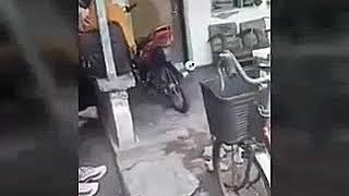 emak-emak lebih galak dari pada anjing.