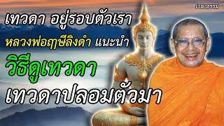 เทวดาปลอมตัวมา เทวดาอยู่รอบตัวเรา หลวงพ่อฤาษีลิงดำ แนะนำ วิธีดูเทวดา เวลาธรรม Ep.159