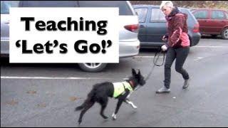 How to stop your dog lunging and barking- Train Lets Go- shy reactive dogs