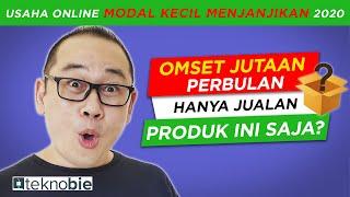 Usaha Online Modal Kecil Untung Besar Menjanjikan  Tips Sukses Bisnis Online Dropship 2020