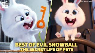 Best of Evil Snowball  The Secret Life of Pets  Cartoon For Kids