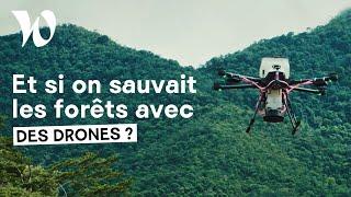 Reportage avec ceux qui veulent restaurer 100 millions dhectares de forêt dici 2050