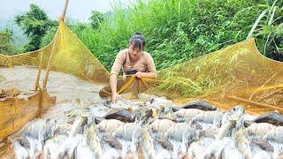 FULL VIDEO How the girl made traps to catch fish attracting large schools of fish