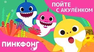 Где Папа-Акула?  Пойте с Акулёнком  Пинкфонг Песни для Детей