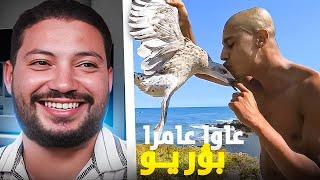 REACTION BN NSNS  🪿اللّي فهم شي حاجة يشرح لينا 