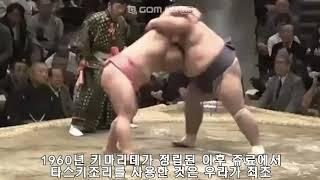 마쿠우치에서 한 번 도 사용되지 않은 환상의 스모 기술