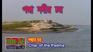 পদ্মার চর Char of the Padma