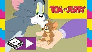 Tom and Jerry  Pet Day  Boomerang