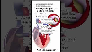 Hemodynamic goals in aortic insufficiency