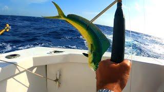 Puerto Morelos Cancun - Deep sea fishing Sport fishing 2023