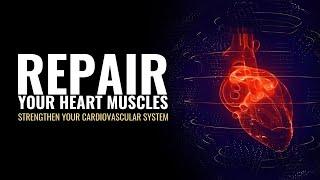 Repair Your Heart Muscles Regulate Blood Flow  Strengthen Your Cardiovascular System  Heal Heart