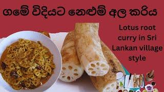 Lotus root curry in Sri Lankan village style  ගමේ විදියට නෙළුම් අල කරිය