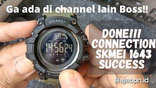 Review & SETTING KONEKSI SKMEI 1643 SMARTWATCH  AJSBPN.ID