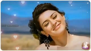 Hansika Motwani whatsapp status video  Kadhal Sycho song  hansika mashup  cute and sweet status 