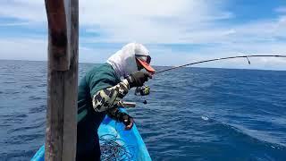 Keseruan mancing dapat ikan ketambak moncong lencam babi