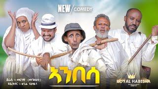 New eritrean comedy 2024 Anbesa  ኣንበሳ by Merhawi Mokbaeti