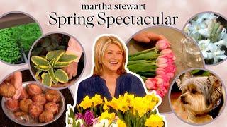 Martha Stewarts Spring Spectacular  Best Springtime Hacks
