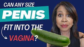 Can Any Penis Size Fit Into A Vagina?