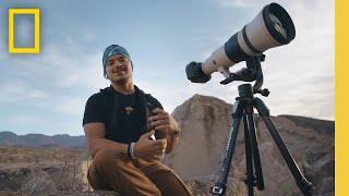 Scouting for Wildlife in Big Bend National Park  National Geographic