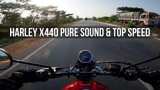 Harley Davidson X440 Pure Riding Sound & Top Speed