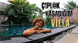 BALİ Adasında Ç1pl@k Yaşamak sansürsüz açıklama Özel Villa Turu