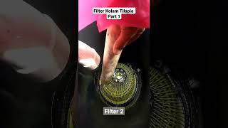 Filter Kolam Tilapia