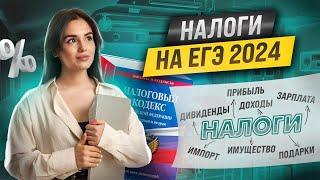 Налоги  ЕГЭ 2024  Настя Малова