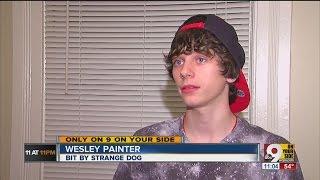 Dog-bitten teen wont need rabies shots after owner comes forward