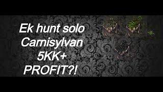 TIBIA EK HUNT SOLO CARNISYLVAN FULL PROFIT SUMMER UPDATE  SERVER LOBERA.