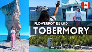 1 Day Trip to Tobermory  Flowerpot Island  Best Attraction in Ontario  Canada 