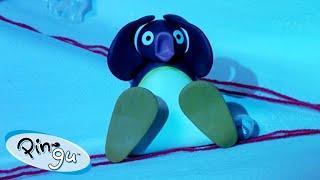 Pingu Gets Lost   Pingu - Official Channel  Cartoons For Kids