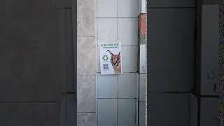 Dont litter bro Big Floppa is watching you green advertising in Russia