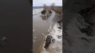 КАТАСТРОФА  Река Томь выходит из берегов. 2024 год #потоп   #томь   #наводнение