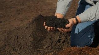 How to Help Soil Drain  Garden Savvy