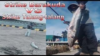 Strike Barakuda vs Talang-talang